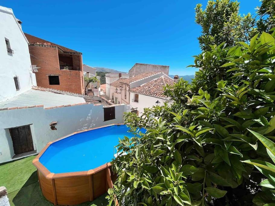 La Palmera. Casa Rural Con Piscina Privada. Benadalid Εξωτερικό φωτογραφία