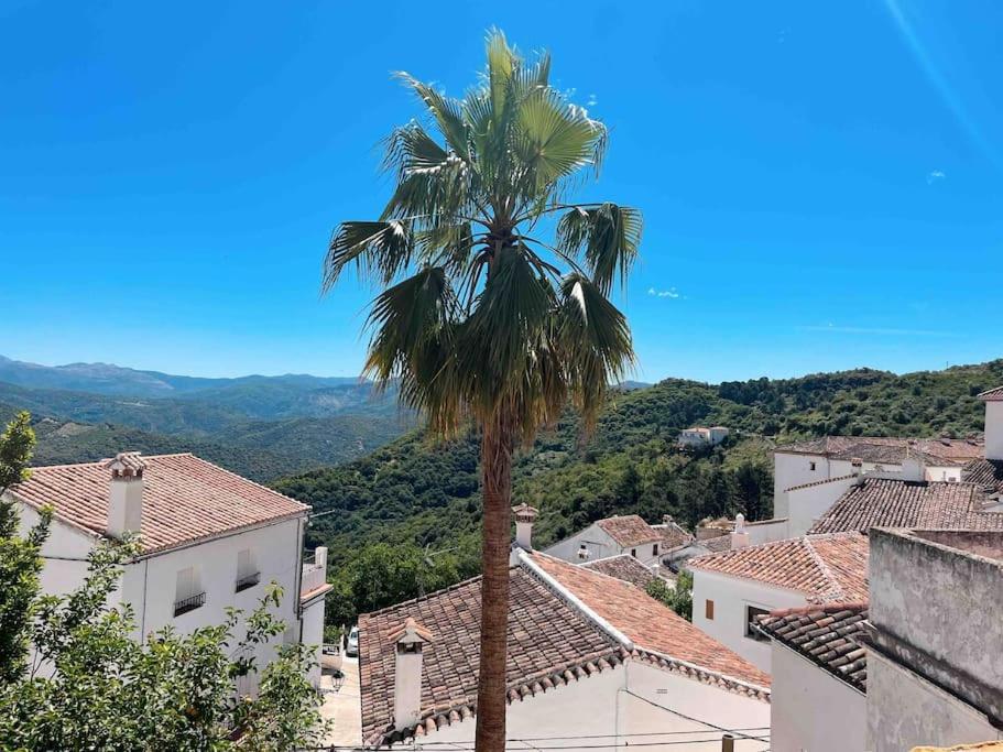 La Palmera. Casa Rural Con Piscina Privada. Benadalid Εξωτερικό φωτογραφία